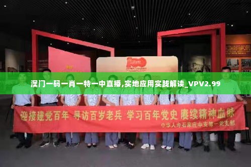 澳门一码一肖一特一中直播,实地应用实践解读_VPV2.99