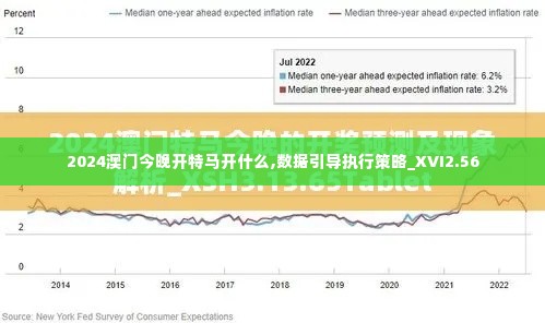 2024澳门今晚开特马开什么,数据引导执行策略_XVI2.56