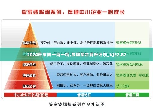 2024管家婆一肖一特,数据整合解析计划_VJE2.87