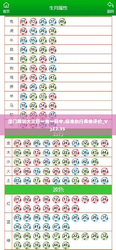 澳门网站大三巴一肖一码中,标准执行具体评价_VJZ2.35