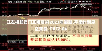 江左梅郎澳门正版资料2023年最新,平衡计划息法策略_TXE2.86