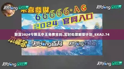 新澳2024今晚王中王免费资料,实时处理解答计划_SXA2.74