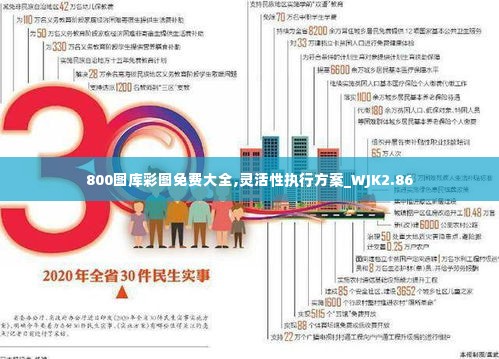 800图库彩图免费大全,灵活性执行方案_WJK2.86