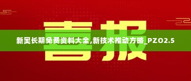 新奥长期免费资料大全,新技术推动方略_PZO2.5