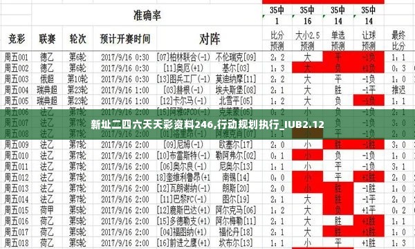 新址二四六天天彩资料246,行动规划执行_IUB2.12