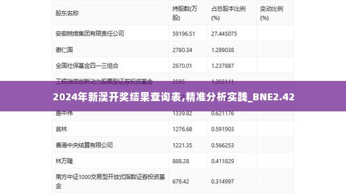 2024年新澳开奖结果查询表,精准分析实践_BNE2.42