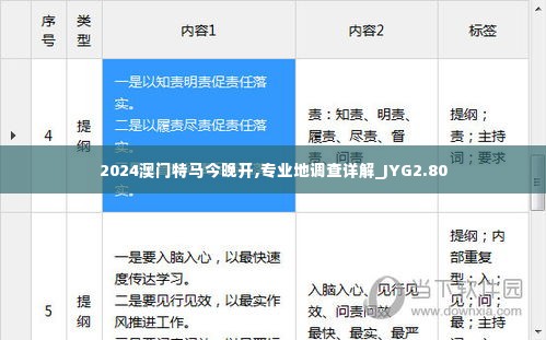 2024澳门特马今晚开,专业地调查详解_JYG2.80