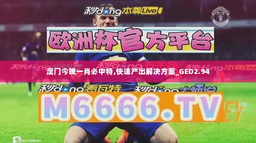 澳门今晚一肖必中特,快速产出解决方案_GED2.94