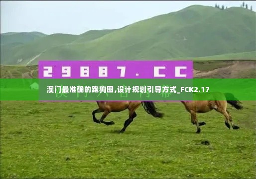 澳门最准确的跑狗图,设计规划引导方式_FCK2.17