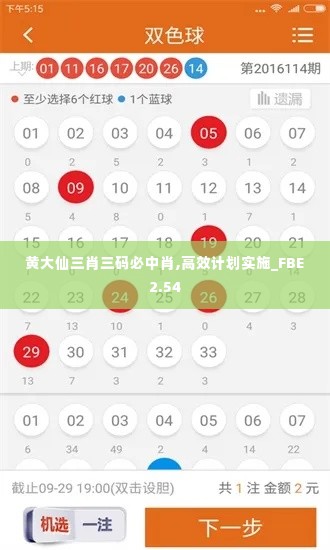 黄大仙三肖三码必中肖,高效计划实施_FBE2.54