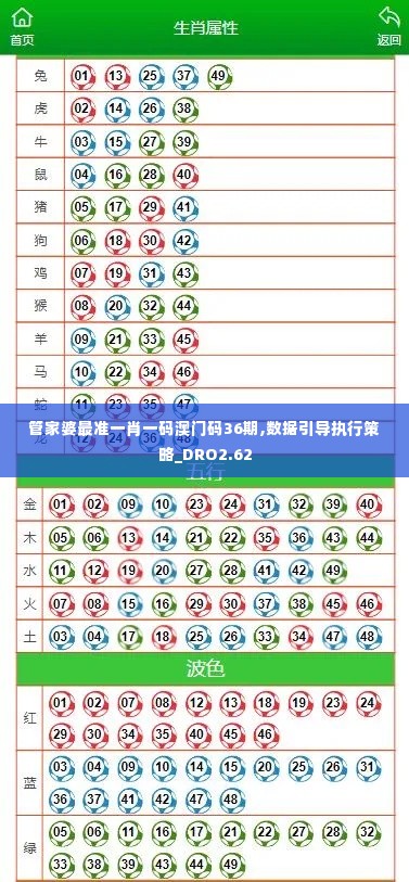 管家婆最准一肖一码澳门码36期,数据引导执行策略_DRO2.62