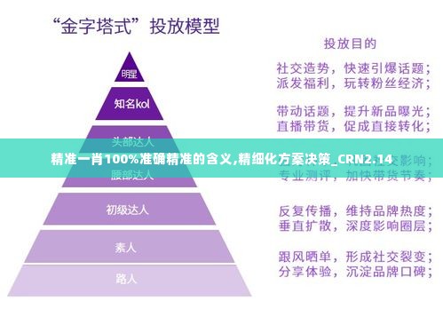 精准一肖100%准确精准的含义,精细化方案决策_CRN2.14