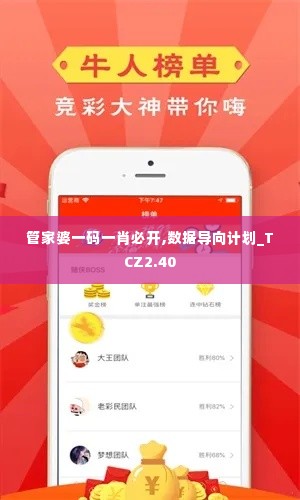 管家婆一码一肖必开,数据导向计划_TCZ2.40