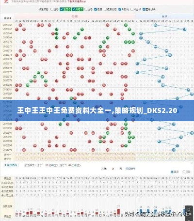 王中王王中王免费资料大全一,策略规划_DKS2.20