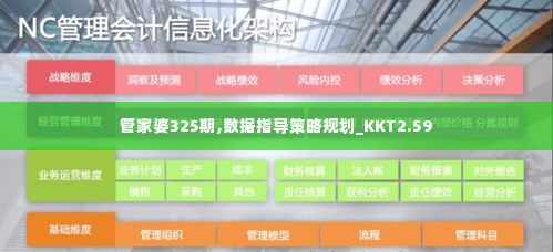 管家婆325期,数据指导策略规划_KKT2.59