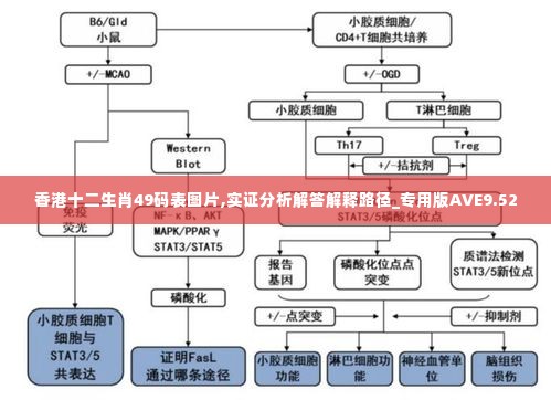 香港十二生肖49码表图片,实证分析解答解释路径_专用版AVE9.52