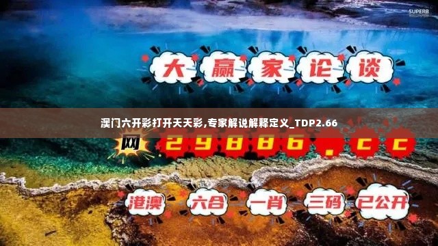 澳门六开彩打开天天彩,专家解说解释定义_TDP2.66