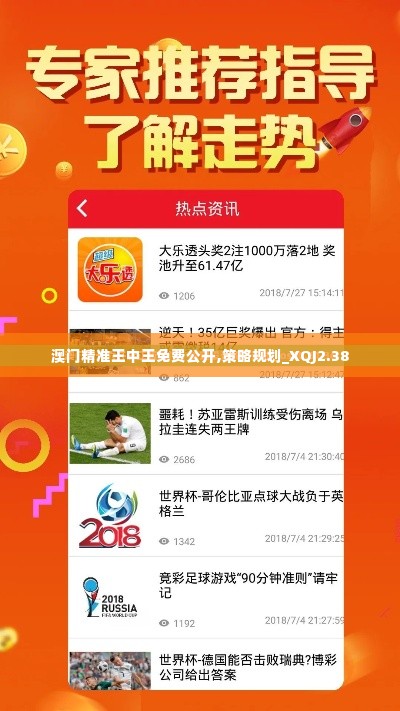 澳门精准王中王免费公开,策略规划_XQJ2.38