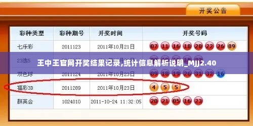 王中王官网开奖结果记录,统计信息解析说明_MJJ2.40