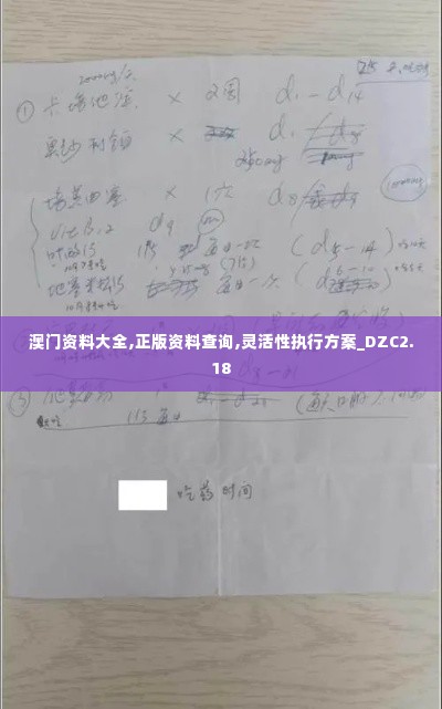 澳门资料大全,正版资料查询,灵活性执行方案_DZC2.18