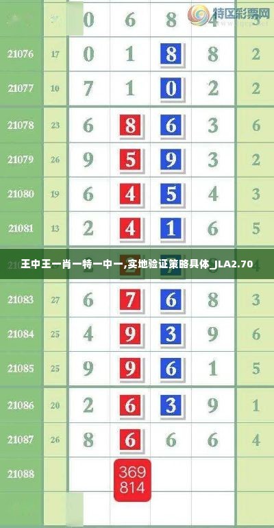 王中王一肖一特一中一,实地验证策略具体_JLA2.70