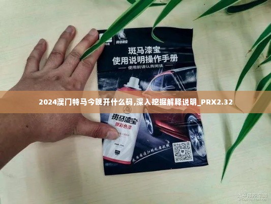 2024澳门特马今晚开什么码,深入挖掘解释说明_PRX2.32