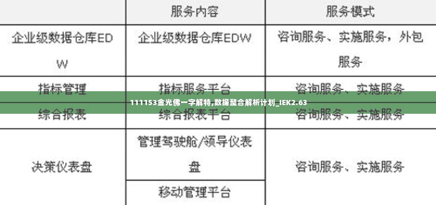 111153金光佛一字解特,数据整合解析计划_IEK2.63