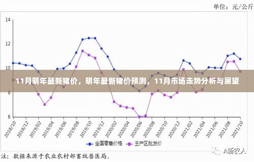 观往知来 第3页