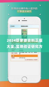 2024管家婆资料正版大全,实地验证研究方案_界面版VLW1.19