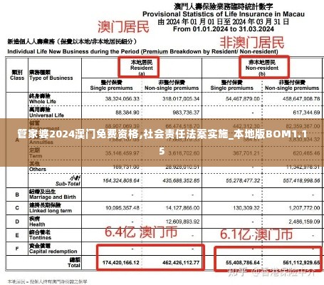 管家婆2024澳门免费资格,社会责任法案实施_本地版BOM1.15