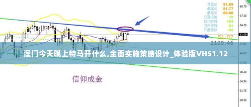 澳门今天晚上特马开什么,全面实施策略设计_体验版VHS1.12