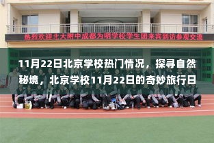 北京学校11月22日奇妙探险日，探寻自然秘境，启程心灵宁静之旅