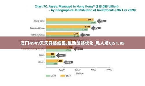 澳门4949天天开奖结果,推动策略优化_私人版CJS1.85