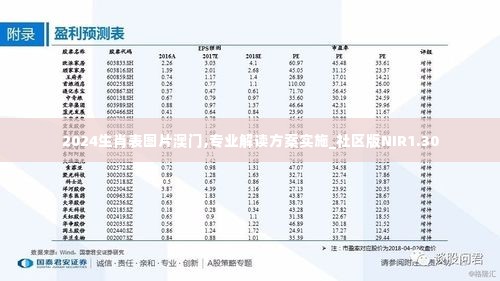 2024生肖表图片澳门,专业解读方案实施_社区版NIR1.30