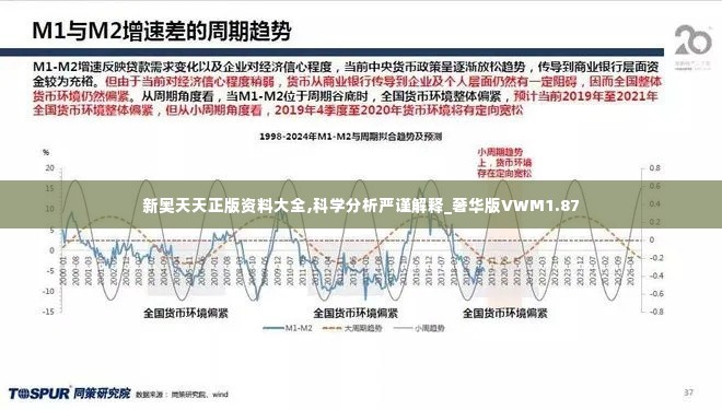 新奥天天正版资料大全,科学分析严谨解释_奢华版VWM1.87