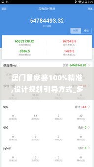 澳门管家婆100%精准,设计规划引导方式_多功能版HKF1.64