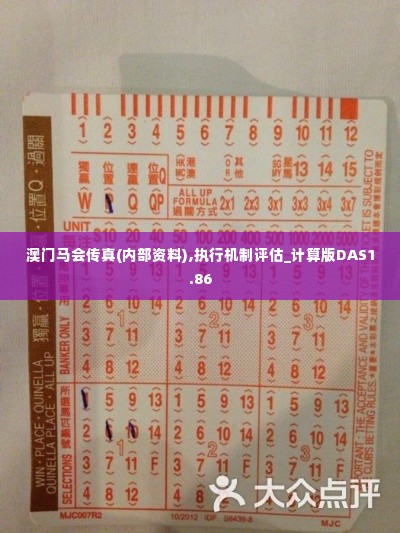 澳门马会传真(内部资料),执行机制评估_计算版DAS1.86