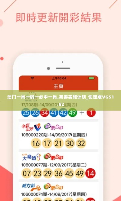 澳门一肖一码一必中一肖,完善实施计划_快速版VGS1.82