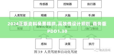 2024正版资料免费提拱,高效性设计规划_商务版PDD1.30