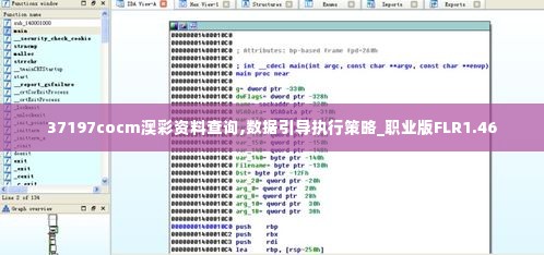 37197cocm澳彩资料查询,数据引导执行策略_职业版FLR1.46