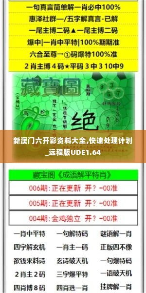 新澳门六开彩资料大全,快速处理计划_远程版UDE1.64