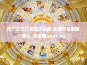 澳门天澳门凤凰天机网,实地观察解释定义_精密版KHP1.96