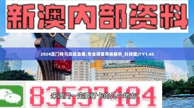 2024澳门特马现场直播,专业调查具体解析_科技版JTY1.65