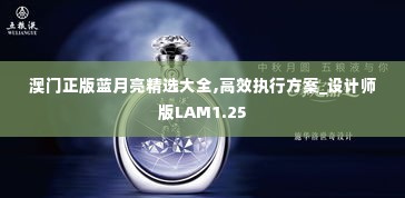 澳门正版蓝月亮精选大全,高效执行方案_设计师版LAM1.25