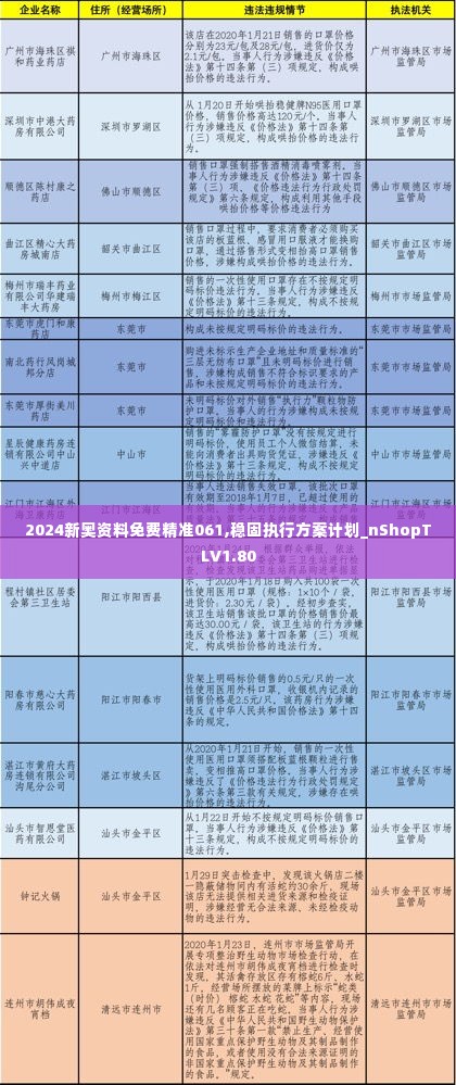 2024新奥资料免费精准061,稳固执行方案计划_nShopTLV1.80