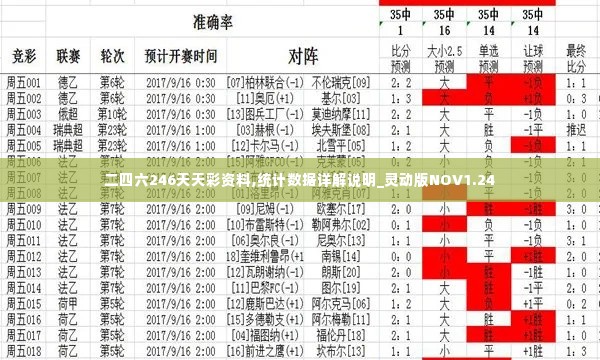 二四六246天天彩资料,统计数据详解说明_灵动版NOV1.24