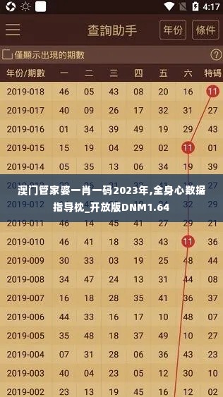 澳门管家婆一肖一码2023年,全身心数据指导枕_开放版DNM1.64