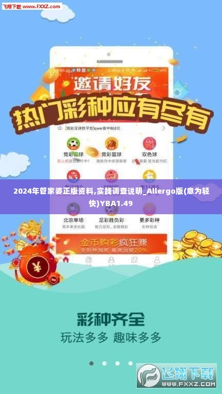 2024年管家婆正版资料,实践调查说明_Allergo版(意为轻快)YBA1.49