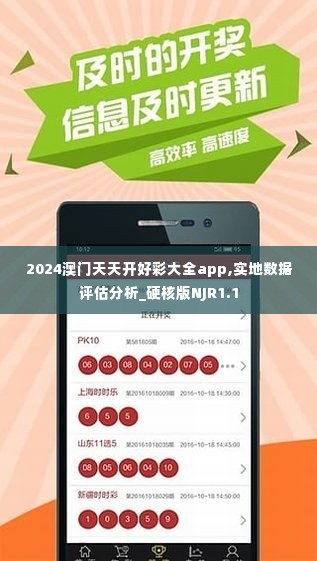 2024澳门天天开好彩大全app,实地数据评估分析_硬核版NJR1.1