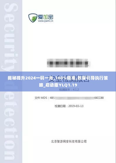 揭秘提升2024一码一肖,100%精准,数据引导执行策略_启动版YLQ1.19